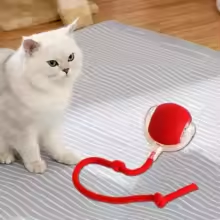 Giocattolo interattivo intelligente per gatti: palla che rotola automaticamente con coda finta